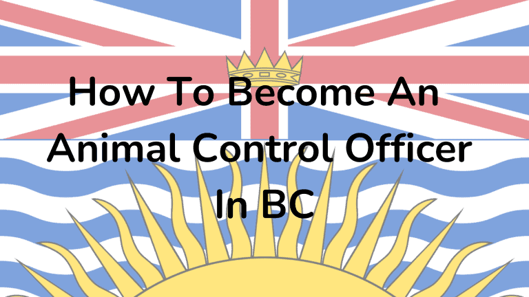 How To Become An Animal Control Officer in BC